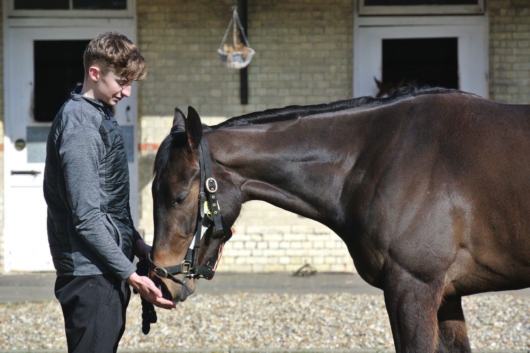 Horse Racing