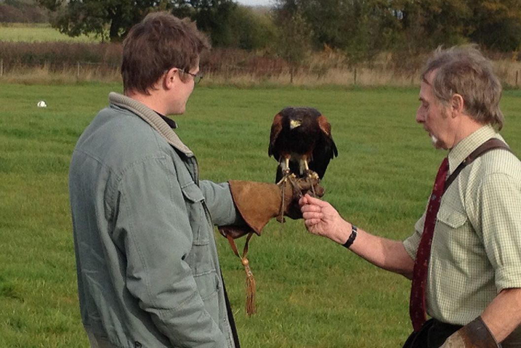 Birds Of Prey