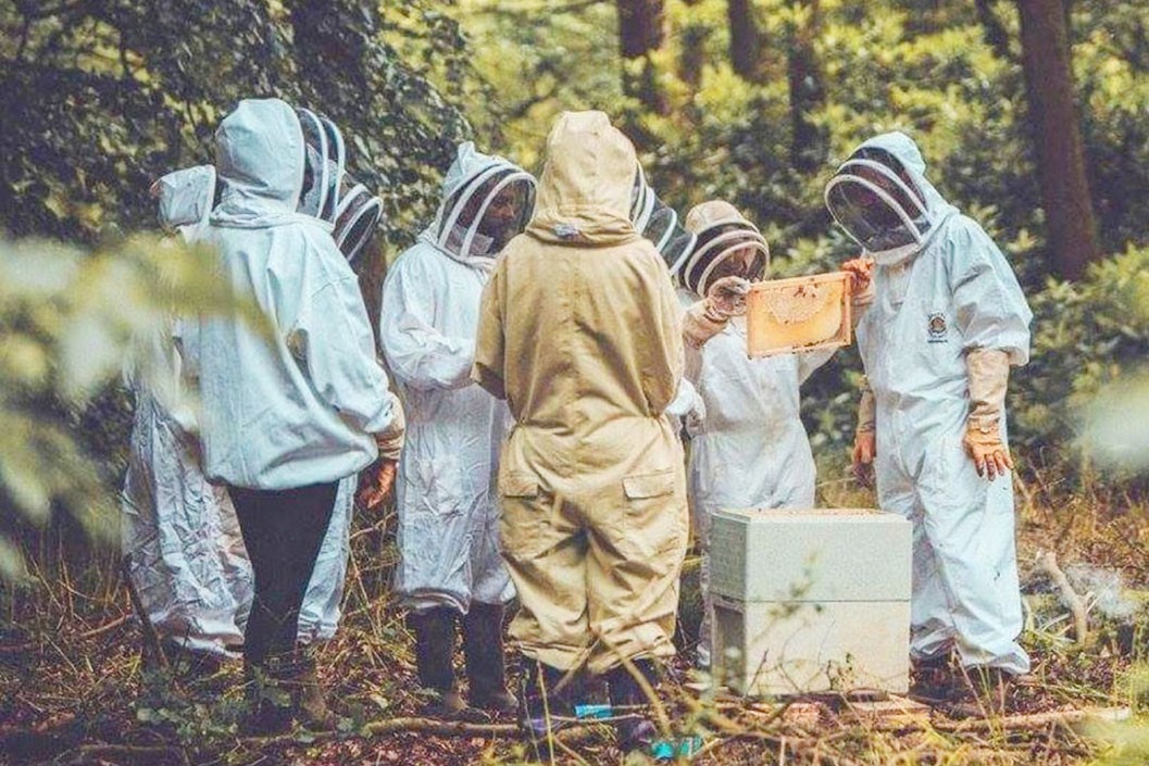 Beekeeping London