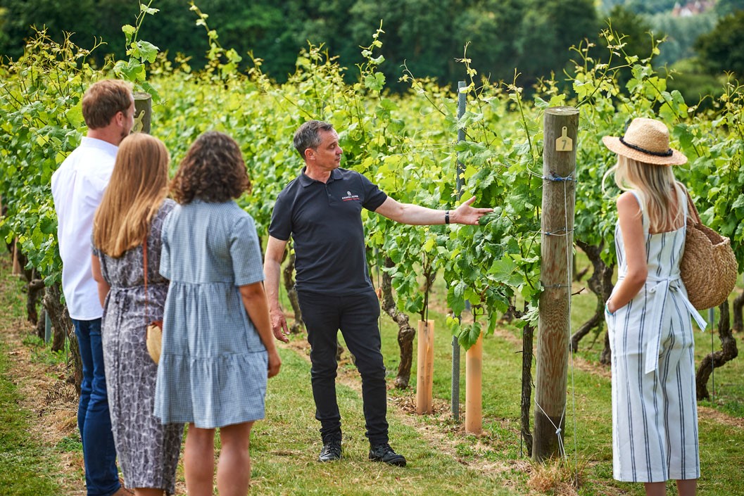 Wine Tasting