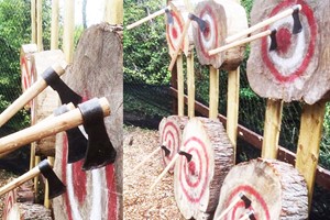 60 Minute Axe Throwing for Two picture