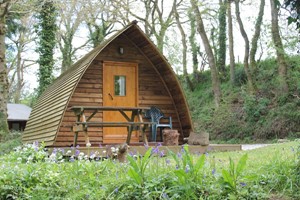 One Night Stay in a Wigwam at Ruthern Valley picture