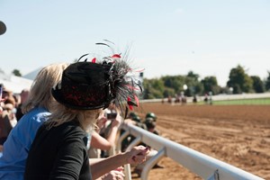 A Day at the Races for Two with Enclosure Tickets and Preview Image 1