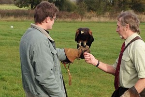 Three Hour Birds of Prey Day for Two picture