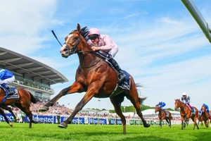 A Day at the Races for Two with Enclosure Tickets and Preview Image 4